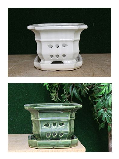 Square Orchid Pot With Holes