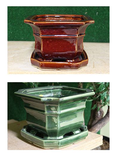 Square Orchid Pot - No Hole