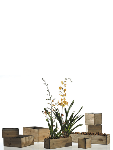 Woodland Rectangle