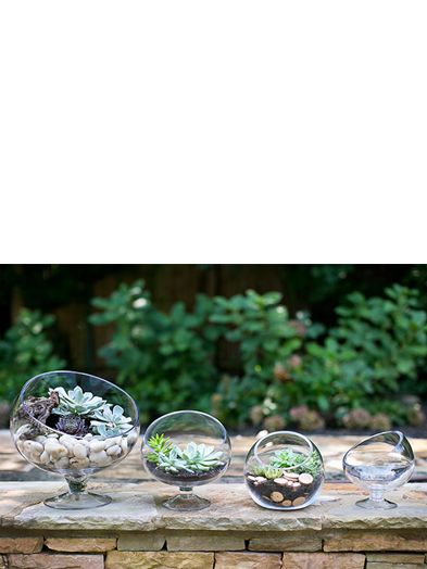Bias Bowl