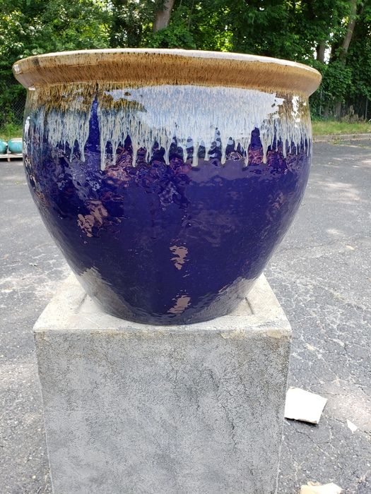 Cobalt Blue Gold Rim