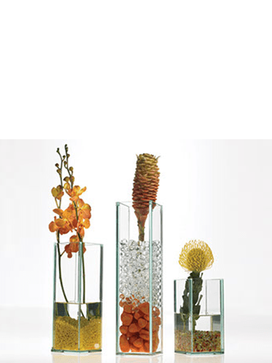 glassware pottery with plants