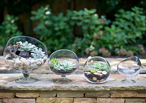 glassware pottery display