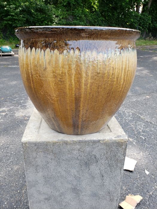 honey gold rim garden supplies