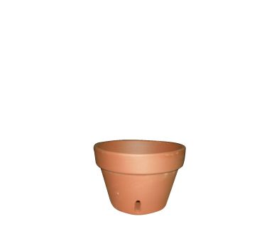 Orchid Pot