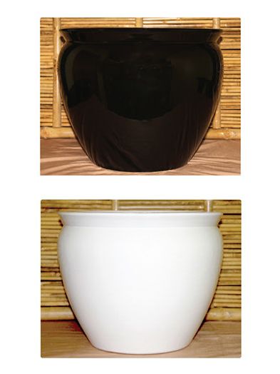 Porcelain Fish Pot