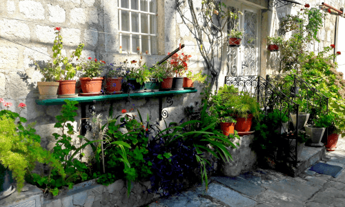 organic gardening