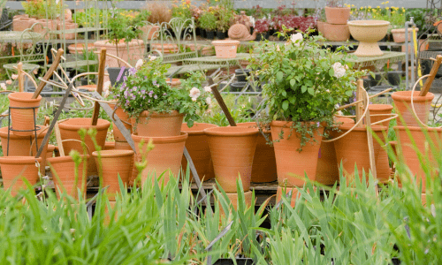 Terracotta Pots