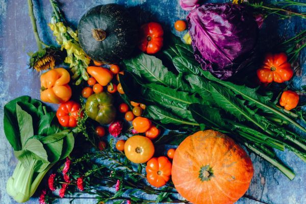 Fall Vegetable Gardening in New York
