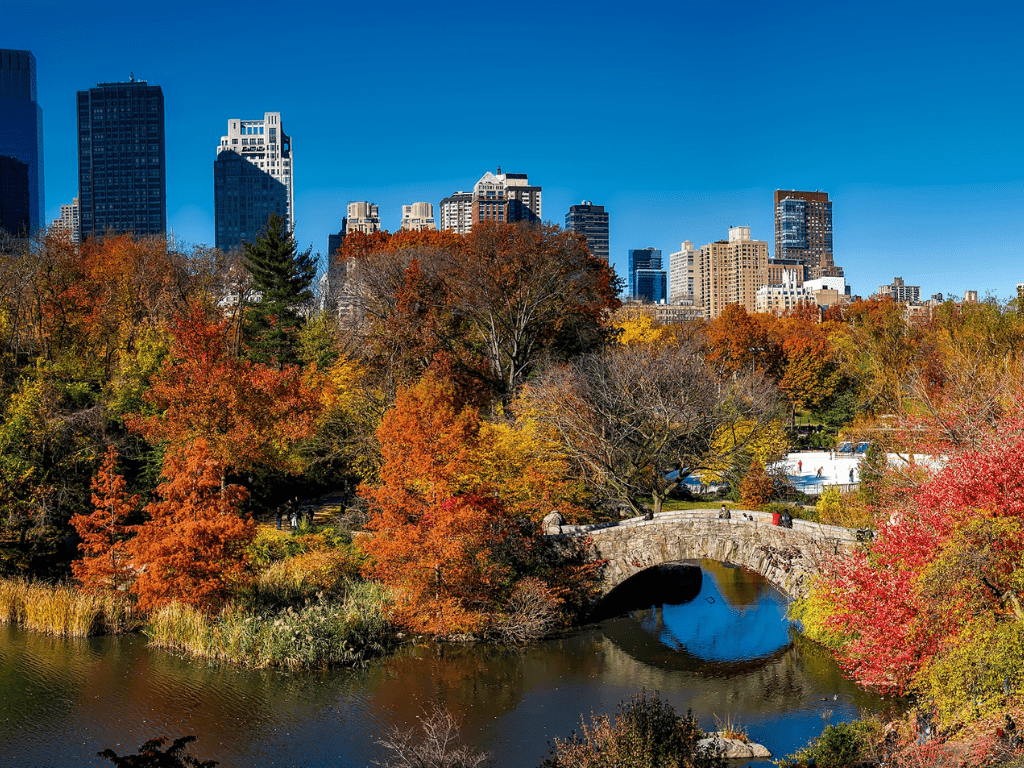 Autumn Plants For Your Urban Outdoor Garden