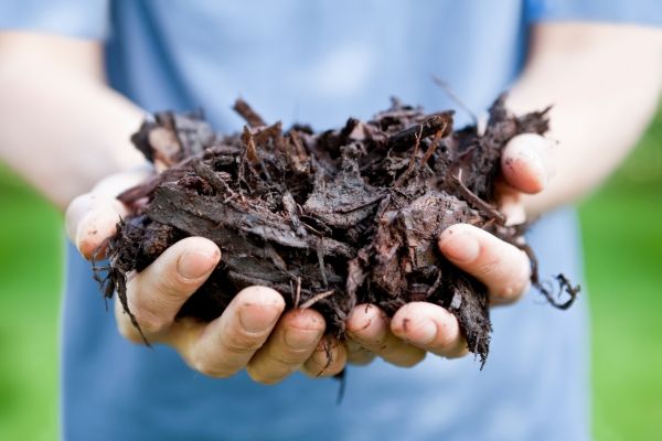 Planter Resource Guide to Late Fall Gardening