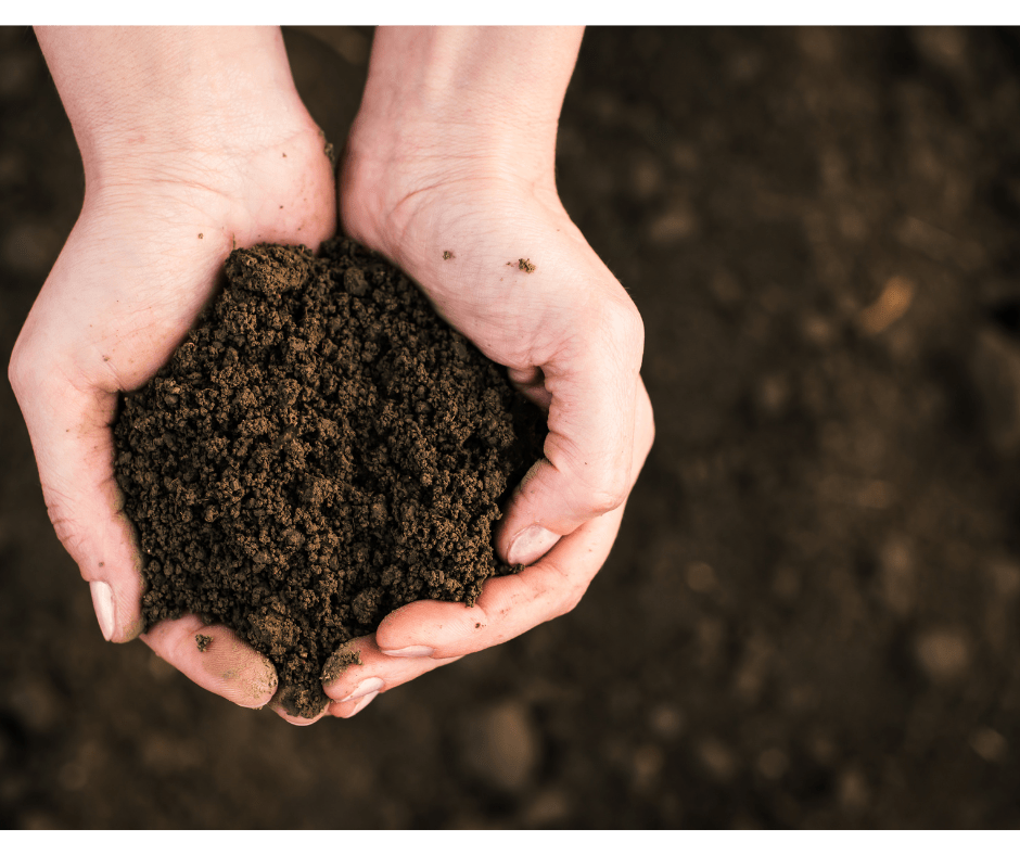 Early Spring Garden Planting Guide, Planter Resource, spring gardening NYC, gardening supplies NYC