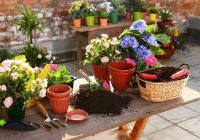 Repotting flowers in a table on an urban rooftop garden with Planter Resource's spring cleaning checklist.