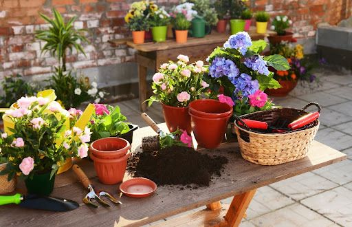 Spring Cleaning Checklist: Revamping Your Patio or Rooftop Garden