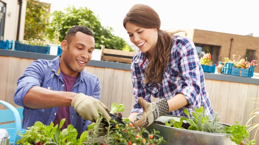 DIY Vegetable Garden: Save Money and Eat Better in the Concrete Jungle