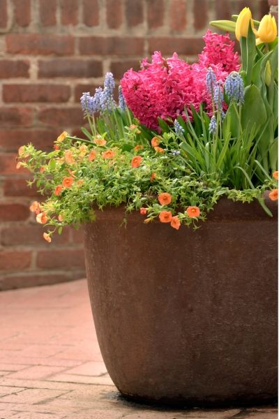 Natural flowers in a rustic flower pot