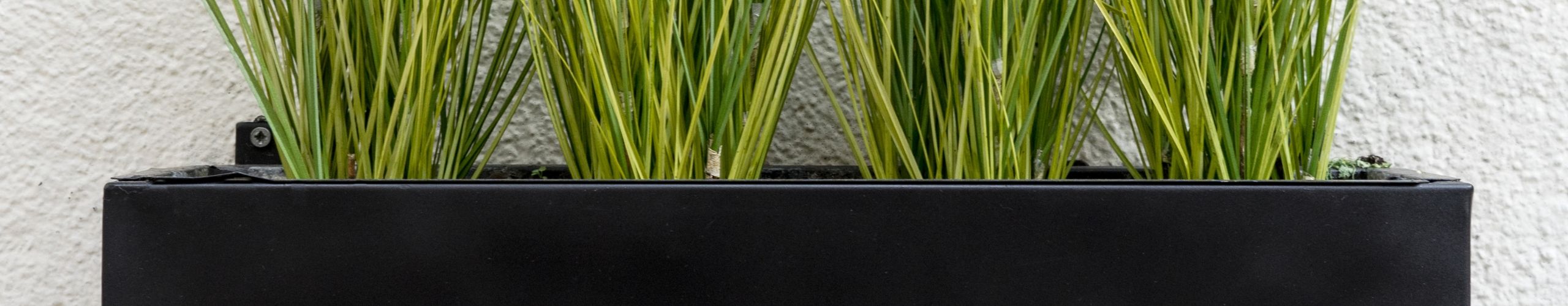 How to Choose Planters for Your Home & Garden