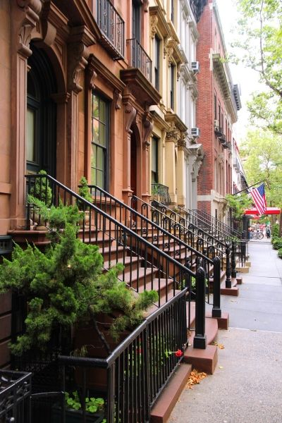 Potted plants decorating the entryway of New York brownstones