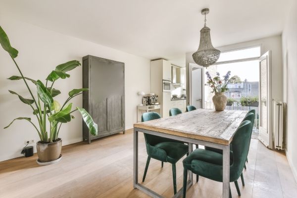 a beautiful modern dining room with a few potted plants scattered about