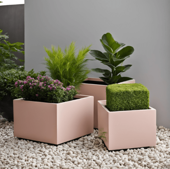 Light pink medium-sized square fiberglass planters filled with native plants and shrubs. 