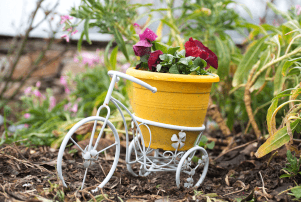 bike with flower pot
