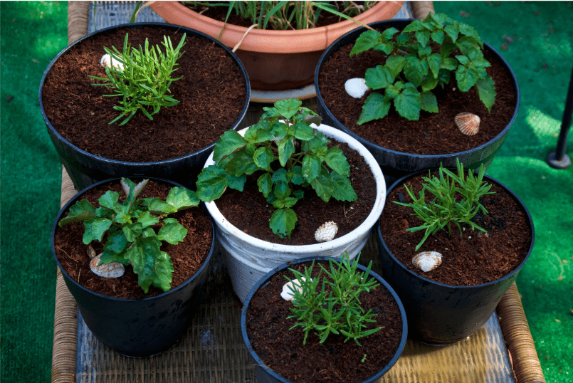 6 lightweight garden containers with plants