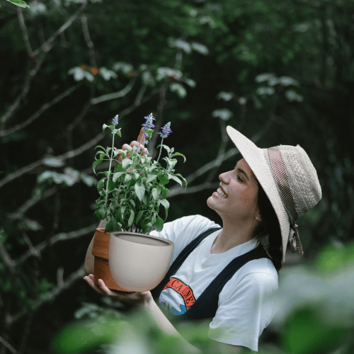 woman smiling holding planter and lavender