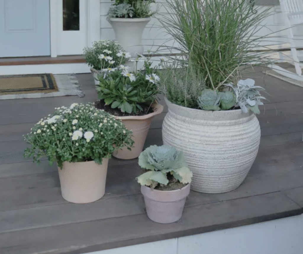 white wash planters