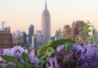 NYC rooftop garden