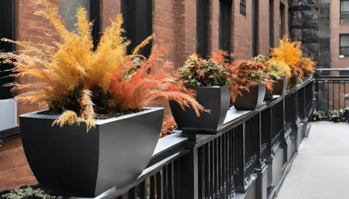 planters in nyc